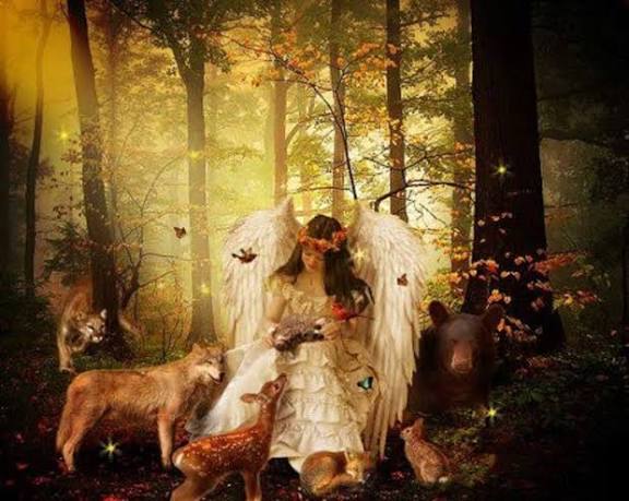 Angelic Healing for Animals
KRIYAVASPATA