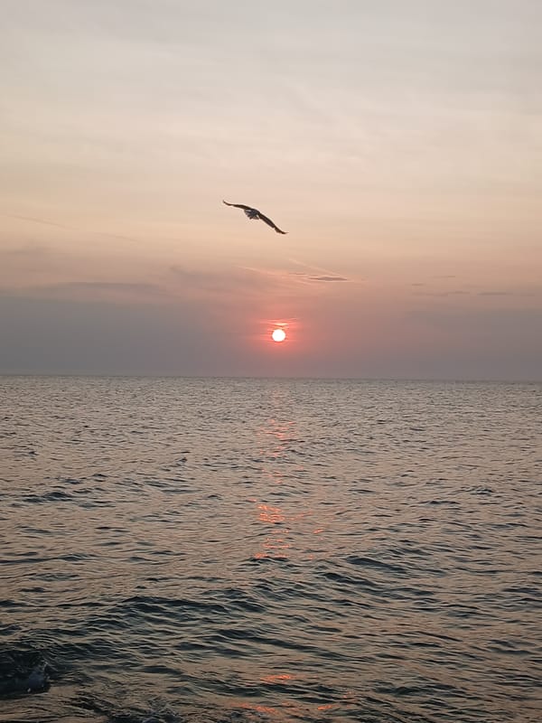 🌊WATER FLOW > ABOUNDANCE WITHIN