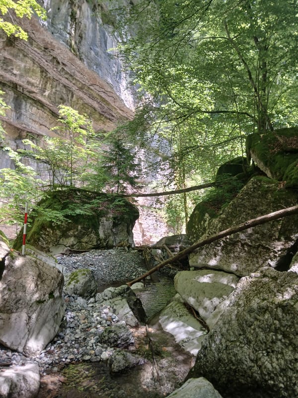 ⛰️EARTH ELEMENT ACTIVATION > LIGHT LANGUAGE